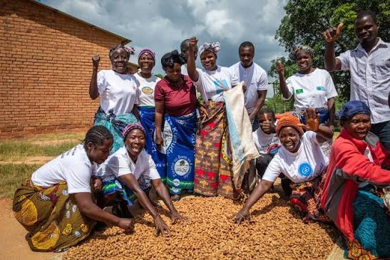 Malawi Transforming High-Potential Resilient Value Chains Project (M-THRiVE)