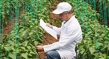 Briefing: M-THRiVE Programme Update